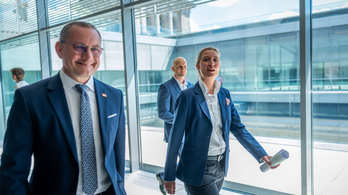 Die AfD-Chefs Tino Chrupalla (l.) und Alice Weidel können sich über einen spürbaren Anstieg ihrer Monatseinkünfte freuen. (Archivbild) - Foto: Michael Kappeler/dpa