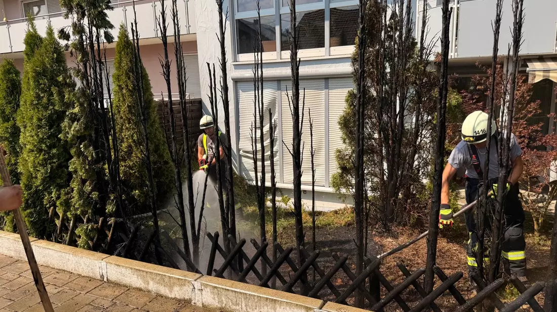 FW Stockach: Brand einer Gartenhecke - Bild: presseportal.de