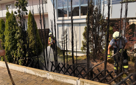 FW Stockach: Brand einer Gartenhecke - Foto: presseportal.de