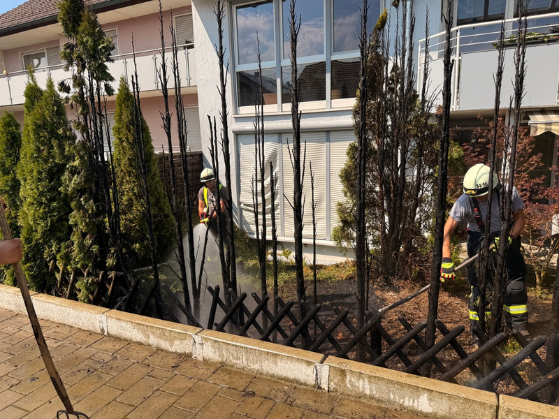 FW Stockach: Brand einer Gartenhecke - Foto: presseportal.de