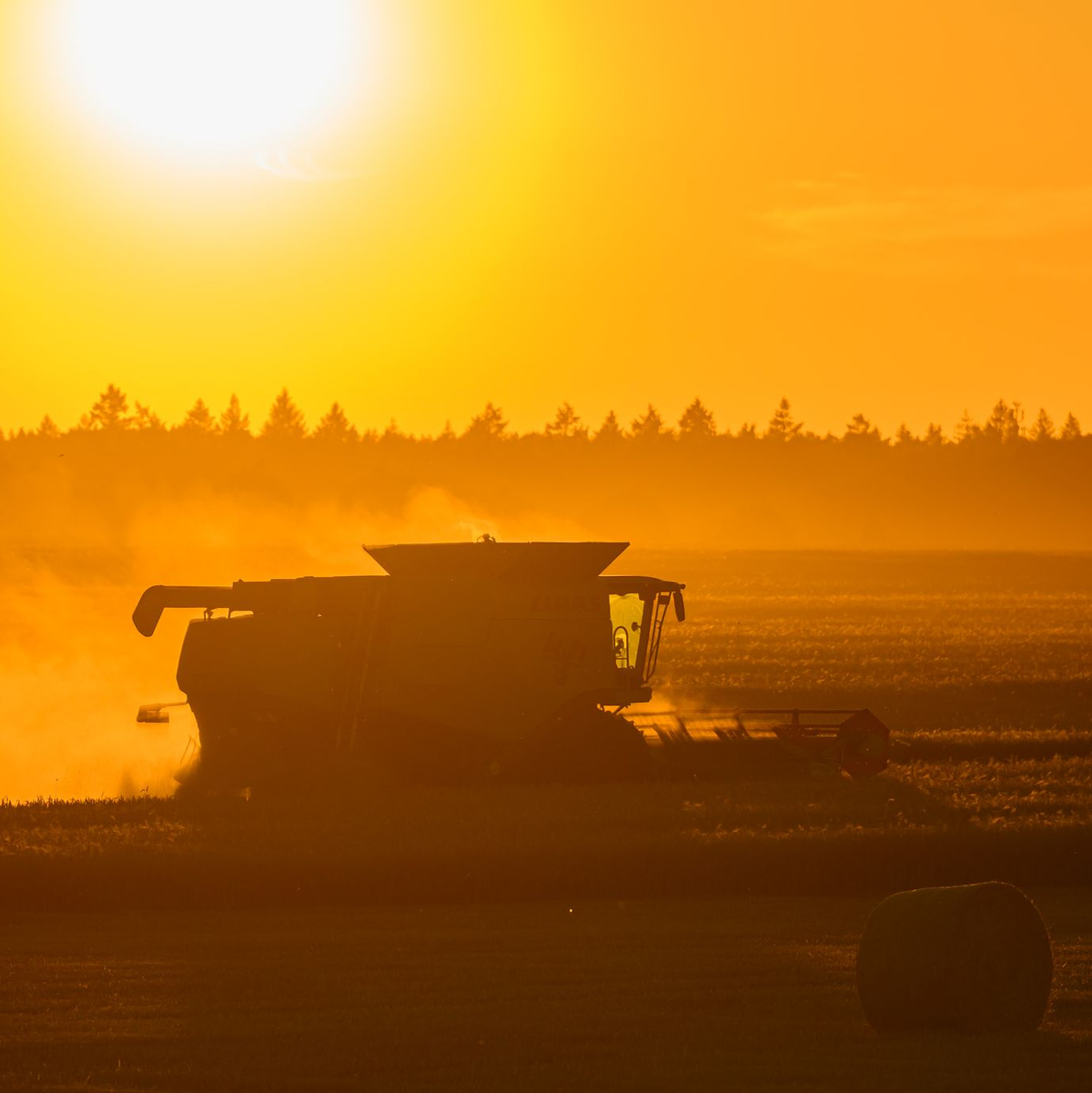 Am Dienstag kommt Deutschland dem Höhepunkt der laufenden Hitzewelle immer näher. - Foto: Patrick Pleul/dpa