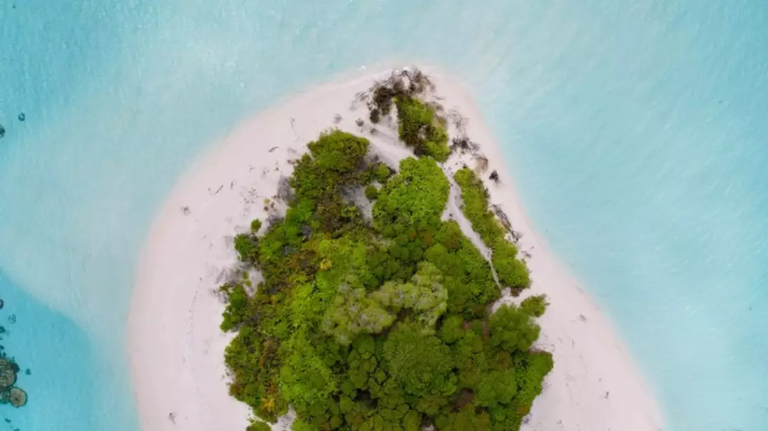 Gestrandet mit dem Survival-Profi? / So wählen Deutsche ihren Urlaubspartner laut Opodo-Umfrage - Bild: presseportal.de