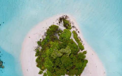 Gestrandet mit dem Survival-Profi? / So wählen Deutsche ihren Urlaubspartner laut Opodo-Umfrage - Foto: presseportal.de