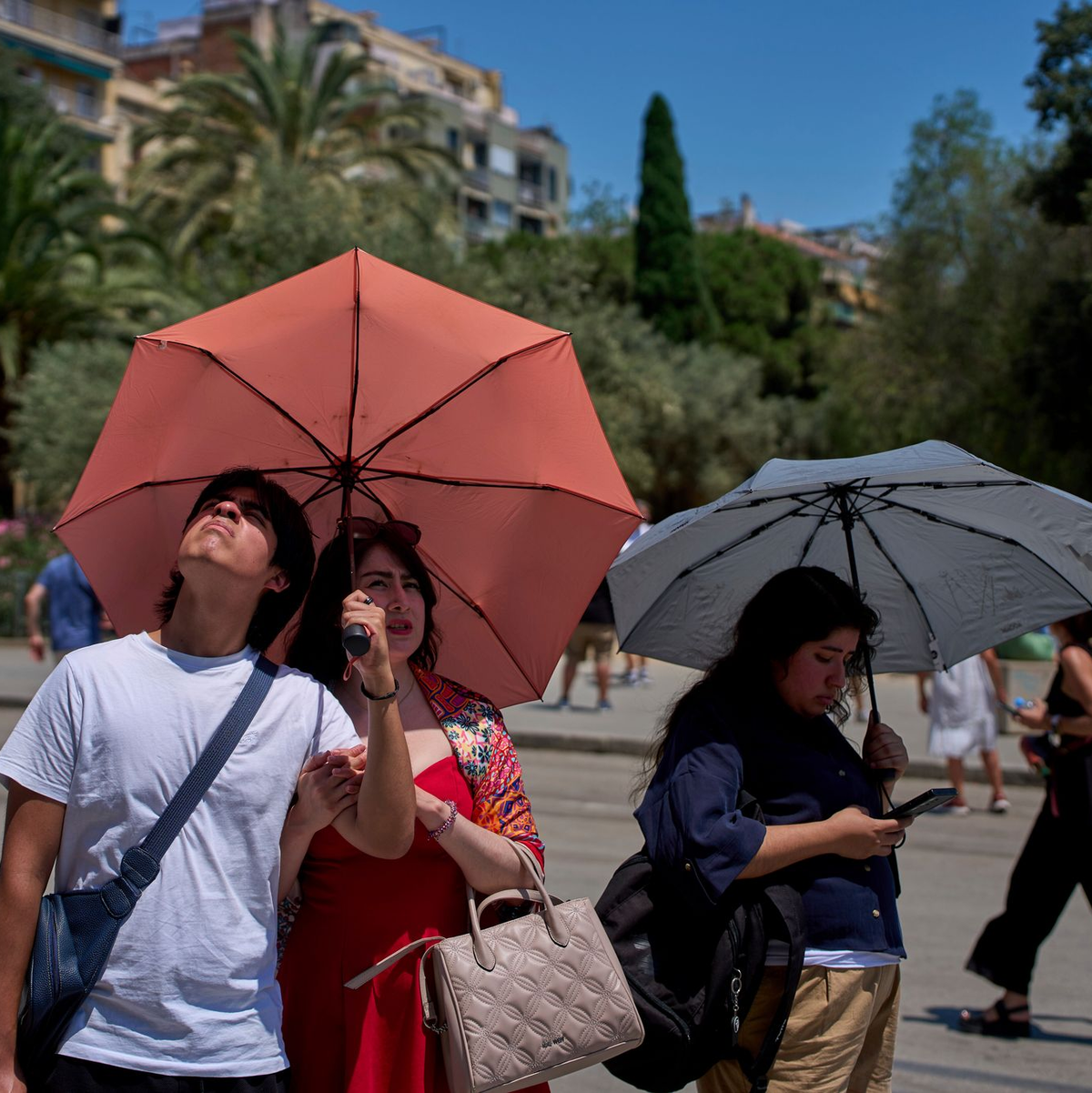 Touristen schützen sich amvor der Kirche Sagrada Familia mit Regenschirmen vor der Sonne.  - Foto: Emilio Morenatti/AP/dpa