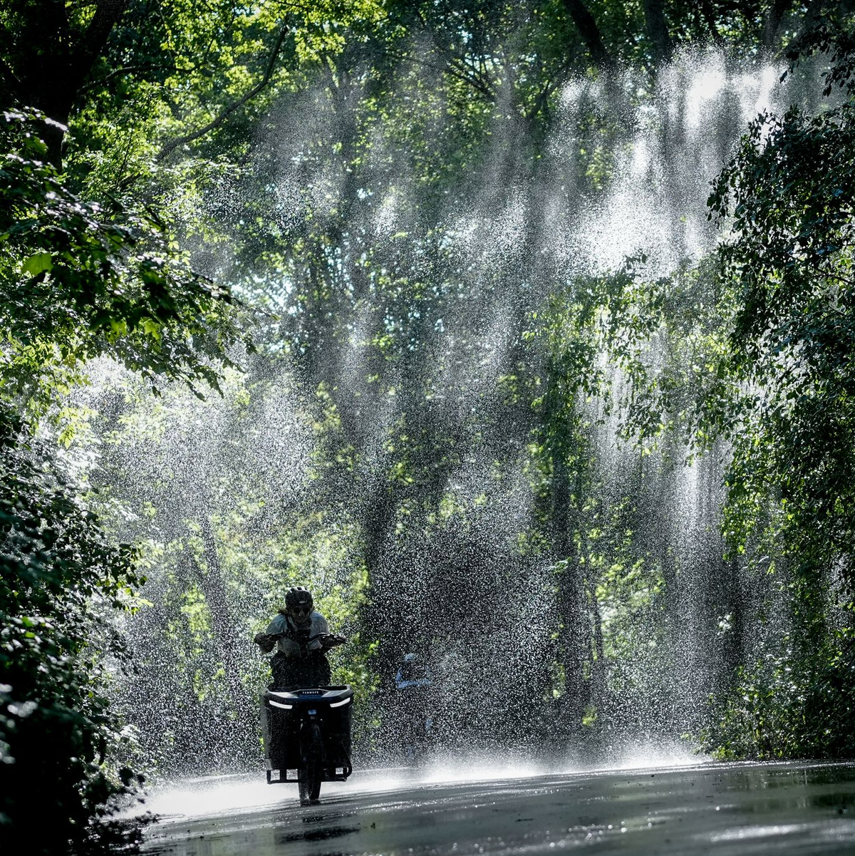 Am Mittwoch wird der Höhepunkt der Hitzewelle erwartet. - Foto: Kay Nietfeld/dpa