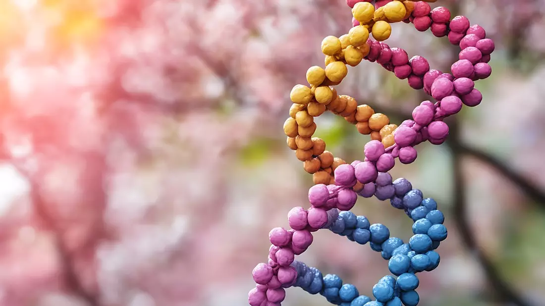 Hämophilie B: Erster Patient in Deutschland erhält Gentherapie - Bild: presseportal.de