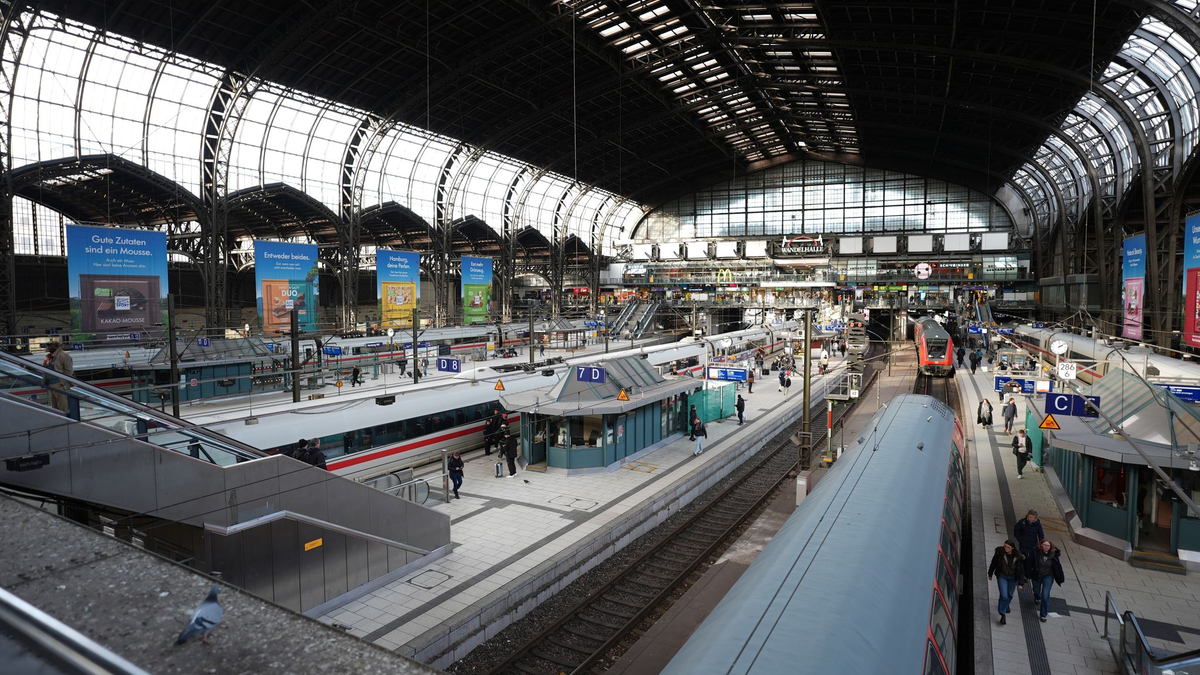 Laut Bahn kann es zu Verspätungen kommen. (Symbolbild) - Foto: Marcus Brandt/dpa