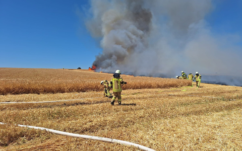 FW Helmstedt: 3 Hektar Getreidfeld in Flammen - Foto: presseportal.de