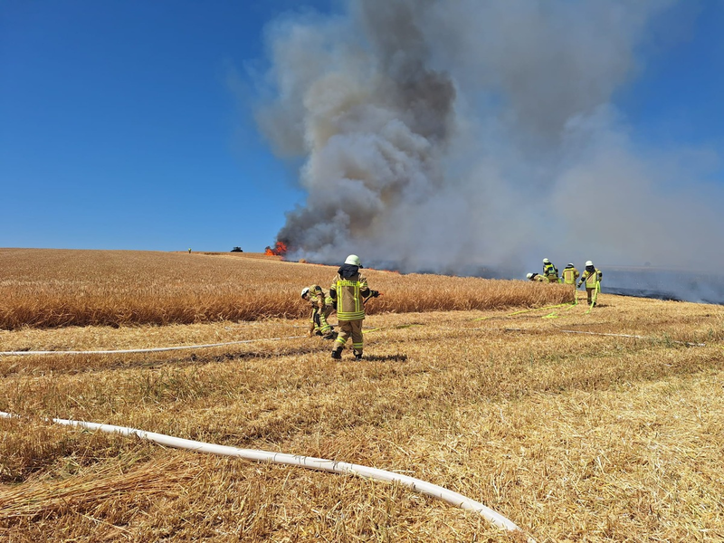 FW Helmstedt: 3 Hektar Getreidfeld in Flammen - Foto: presseportal.de