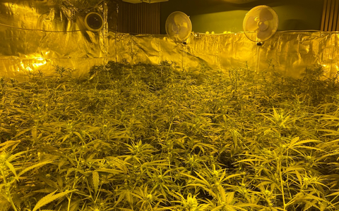 POL-PPTR: Nachtragsmeldung: Bandenkriminalität - Länderübergreifender Einsatz gegen illegalen Cannabisanbau und -handel [unsere Meldung von 08:12 Uhr] - Foto: presseportal.de