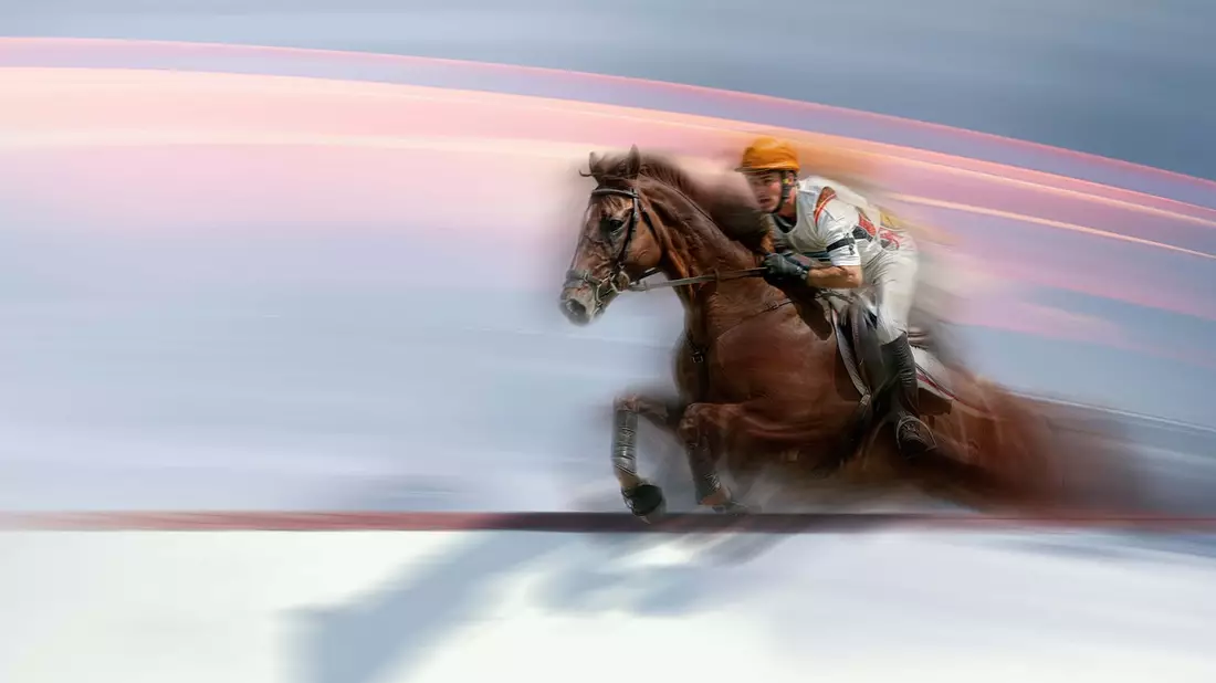 Das Springreiten-Finale beim CHIO in Aachen live im ZDF - Bild: presseportal.de