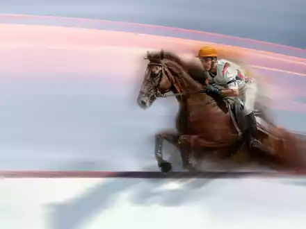Das Springreiten-Finale beim CHIO in Aachen live im ZDF - Foto: presseportal.de