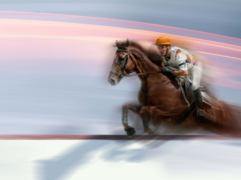 Das Springreiten-Finale beim CHIO in Aachen live im ZDF - Foto: presseportal.de