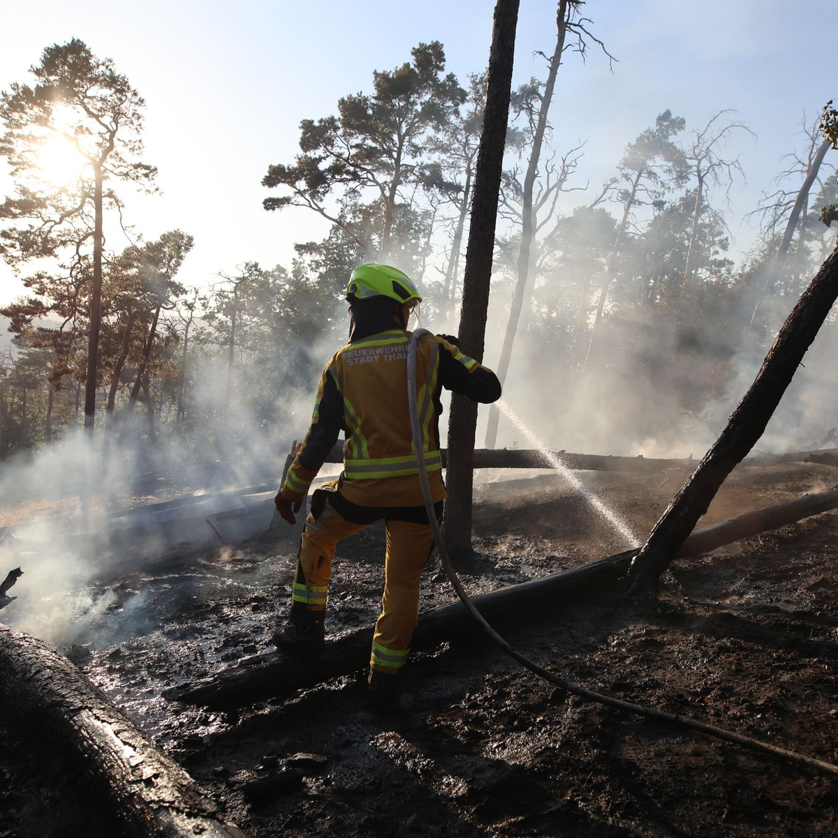 Die Hitzewelle sorgt zwar nicht alleine für eine erhöhte Waldbrandgefahr, könnte das Risiko aber verstärken. - Foto: Matthias Bein/dpa