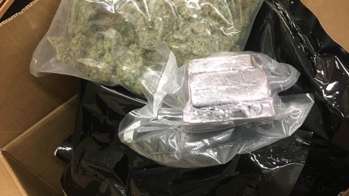 HZA-K: Zollspürhündin Kate landet Volltreffer am Kölner Flughafen / Drogen im Wert von rund 600.000 Euro in nur einer Nacht in Paketen erschnüffelt - Foto: presseportal.de