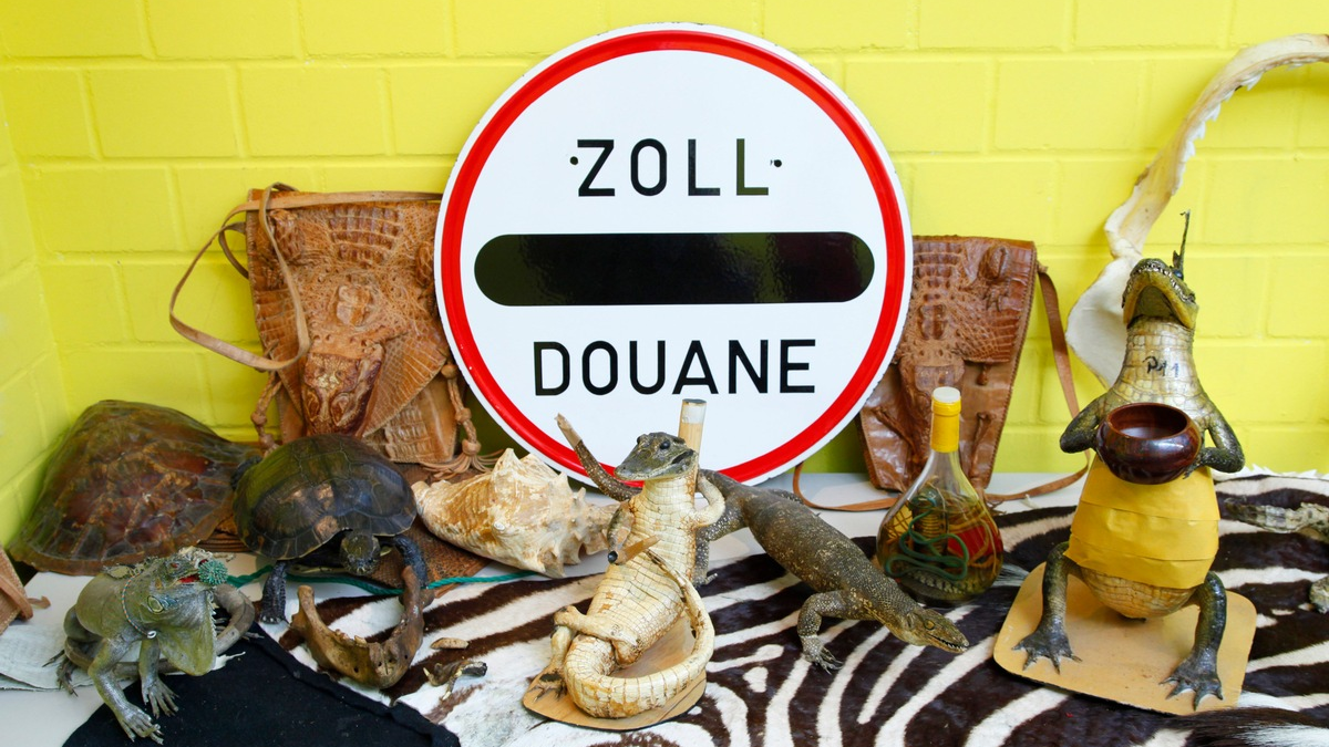 HZA-F: Sommerzeit ist Reisezeit-Tipps vom Frankfurter Zoll - Foto: presseportal.de