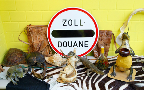 HZA-F: Sommerzeit ist Reisezeit-Tipps vom Frankfurter Zoll - Foto: presseportal.de