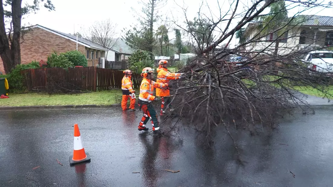 Herabstürzende Bäume haben auch Häuser beschädigt.  - Bild: Supplied By New South Wales Stat/NEW SOUTH WALES STATE EMERGENCY SERVICE/APA/dpa