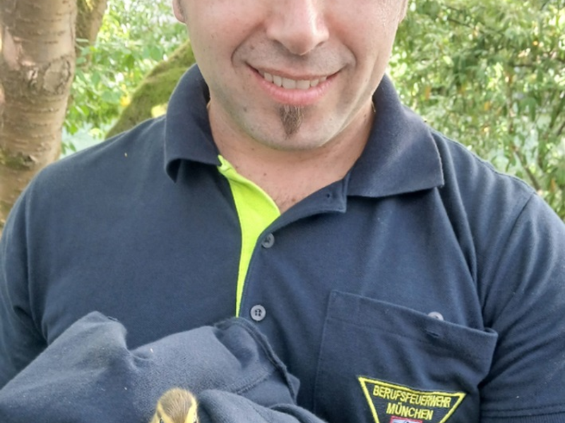 FW-M: Entenfamilie verirrt sich in Klinik (Harlaching) - Foto: presseportal.de
