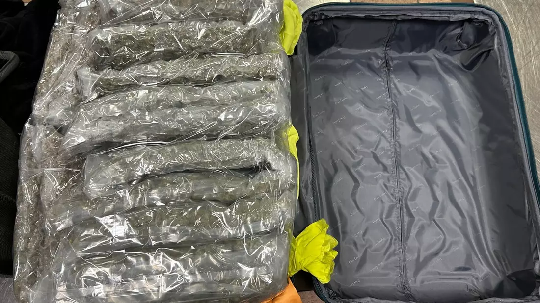 HZA-IZ: Drei Festnahmen nach versuchtem Marihuana-Schmuggel am Hamburger Flughafen / ZOLL verhindert Einfuhr von Marihuana in Rekordmenge - Bild: presseportal.de