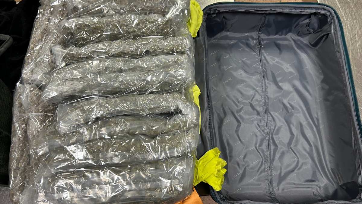 HZA-IZ: Drei Festnahmen nach versuchtem Marihuana-Schmuggel am Hamburger Flughafen / ZOLL verhindert Einfuhr von Marihuana in Rekordmenge - Foto: presseportal.de