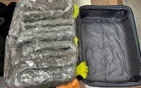 HZA-IZ: Drei Festnahmen nach versuchtem Marihuana-Schmuggel am Hamburger Flughafen / ZOLL verhindert Einfuhr von Marihuana in Rekordmenge - Foto: presseportal.de