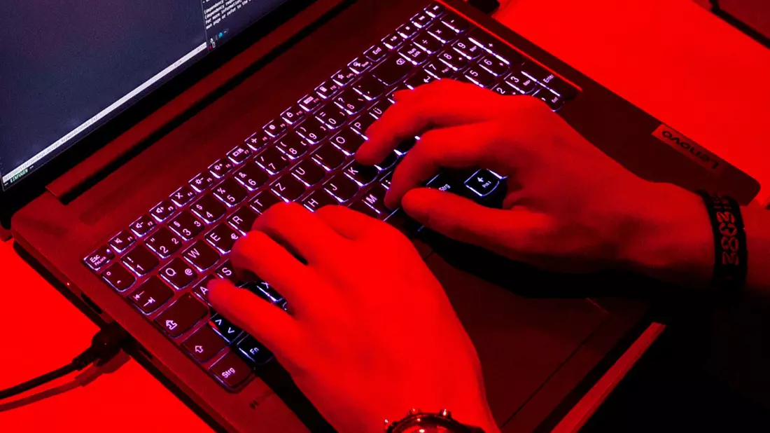 Treiber der Digitalwirtschaft ist laut Bitkom besonders Software. (Symbolbild) - Bild: Daniel Bockwoldt/dpa