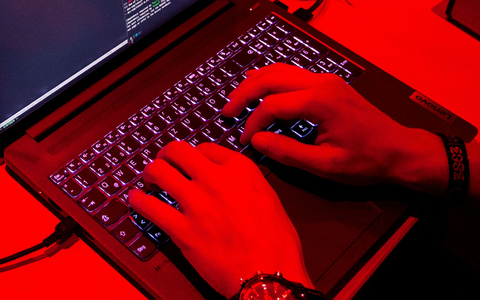 Treiber der Digitalwirtschaft ist laut Bitkom besonders Software. (Symbolbild) - Foto: Daniel Bockwoldt/dpa