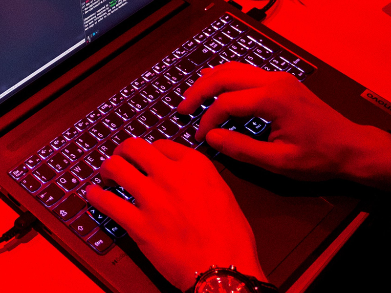 Treiber der Digitalwirtschaft ist laut Bitkom besonders Software. (Symbolbild) - Foto: Daniel Bockwoldt/dpa