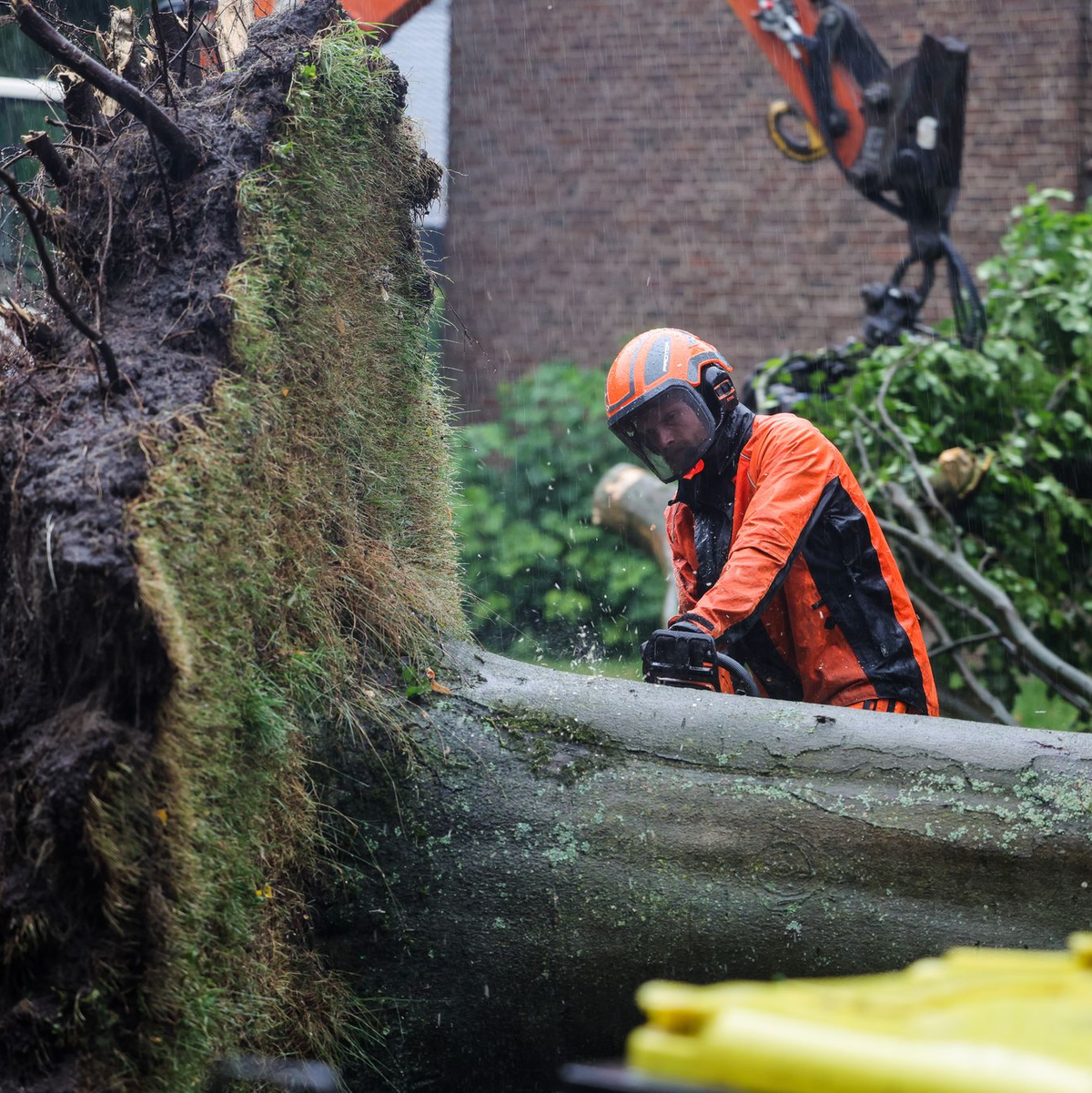 Im Nordwesten stürzten wegen der starken Winde viele Bäume um. - Foto: Christoph Reichwein/dpa