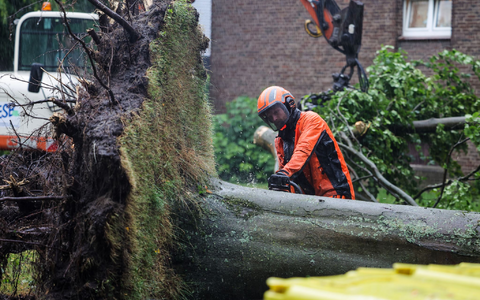 Im Nordwesten stürzten wegen der starken Winde viele Bäume um. - Foto: Christoph Reichwein/dpa