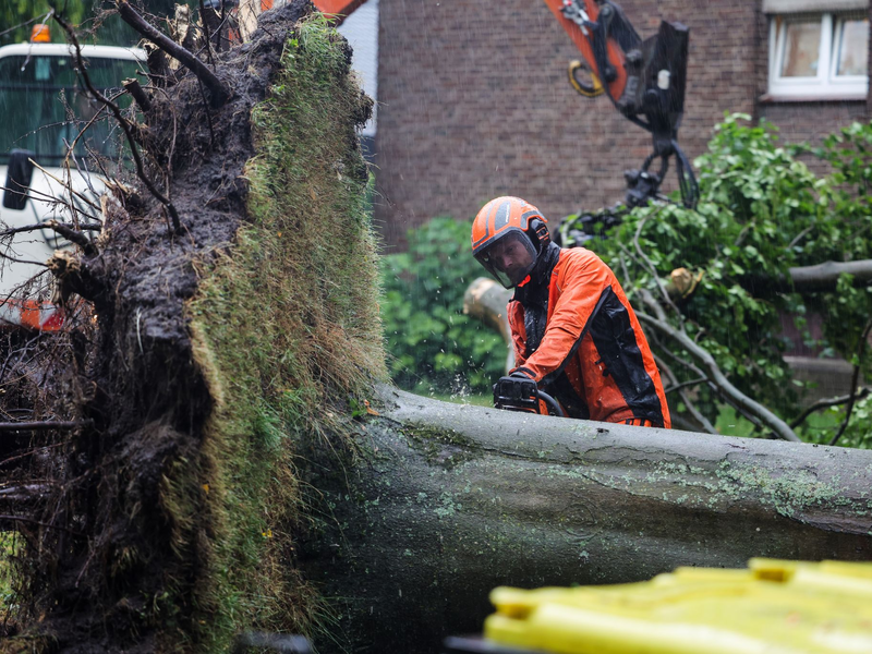Im Nordwesten stürzten wegen der starken Winde viele Bäume um. - Foto: Christoph Reichwein/dpa