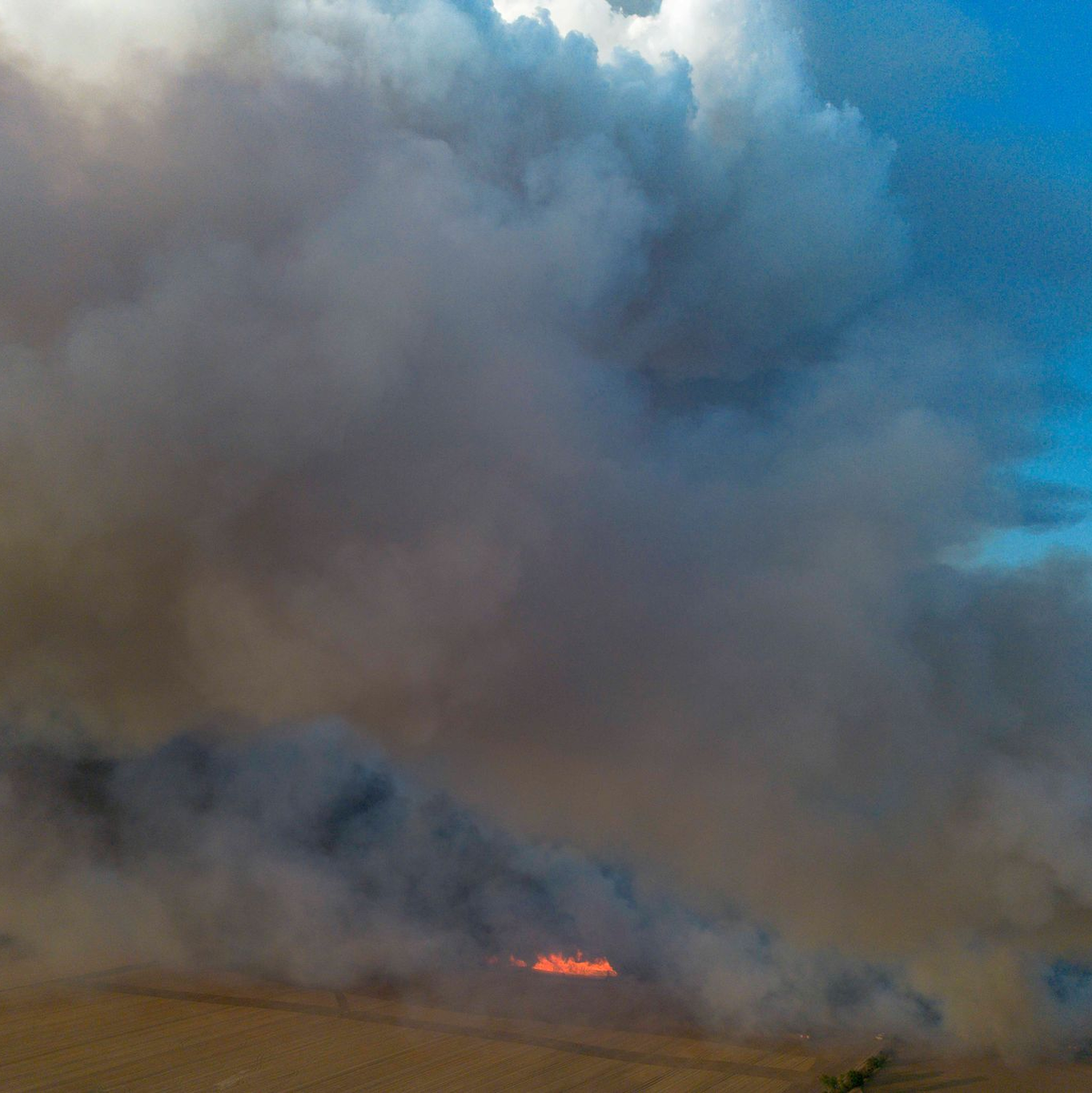 In der Gohrischheide an der Grenze von Sachsen und Brandenburg kämpfen Einsatzkräfte weiterhin gegen einen Waldbrand an. - Foto: Daniel Wagner/dpa