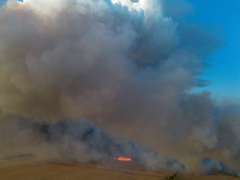 In der Gohrischheide sollen die nächsten Schritte in einer Lagebesprechung am Morgen getroffen werden. - Foto: Daniel Wagner/dpa