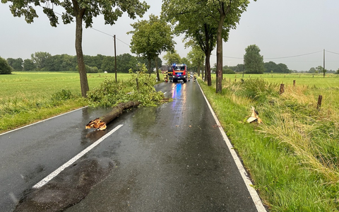 FW Alpen: Mehrere Sturmeinsätze im Gemeindegebiet Alpen - Foto: presseportal.de