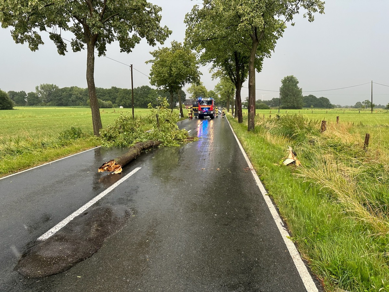 FW Alpen: Mehrere Sturmeinsätze im Gemeindegebiet Alpen - Foto: presseportal.de