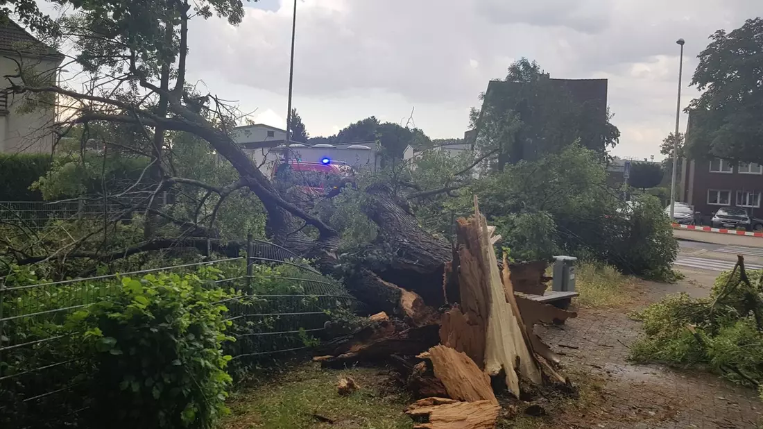 FW Düren: Unwetter über Düren - Feuerwehr im Dauereinsatz - Bild: presseportal.de