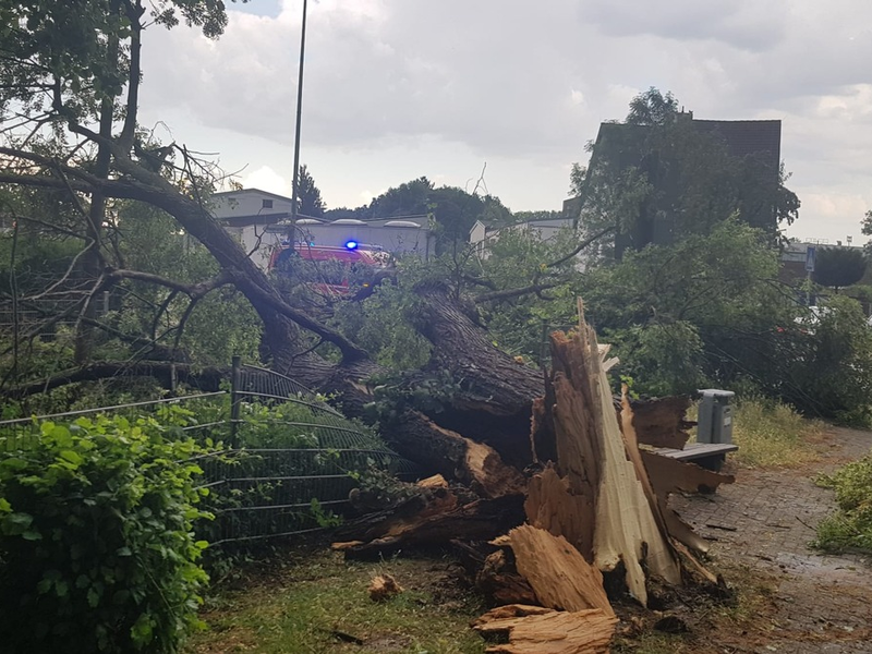 FW Düren: Unwetter über Düren - Feuerwehr im Dauereinsatz - Foto: presseportal.de