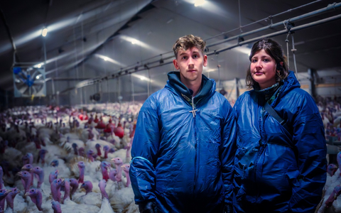Sänger Tom Twers rettet Puten aus Mastanlage - ANINOVA deckt grausame Zustände auf - Foto: presseportal.de