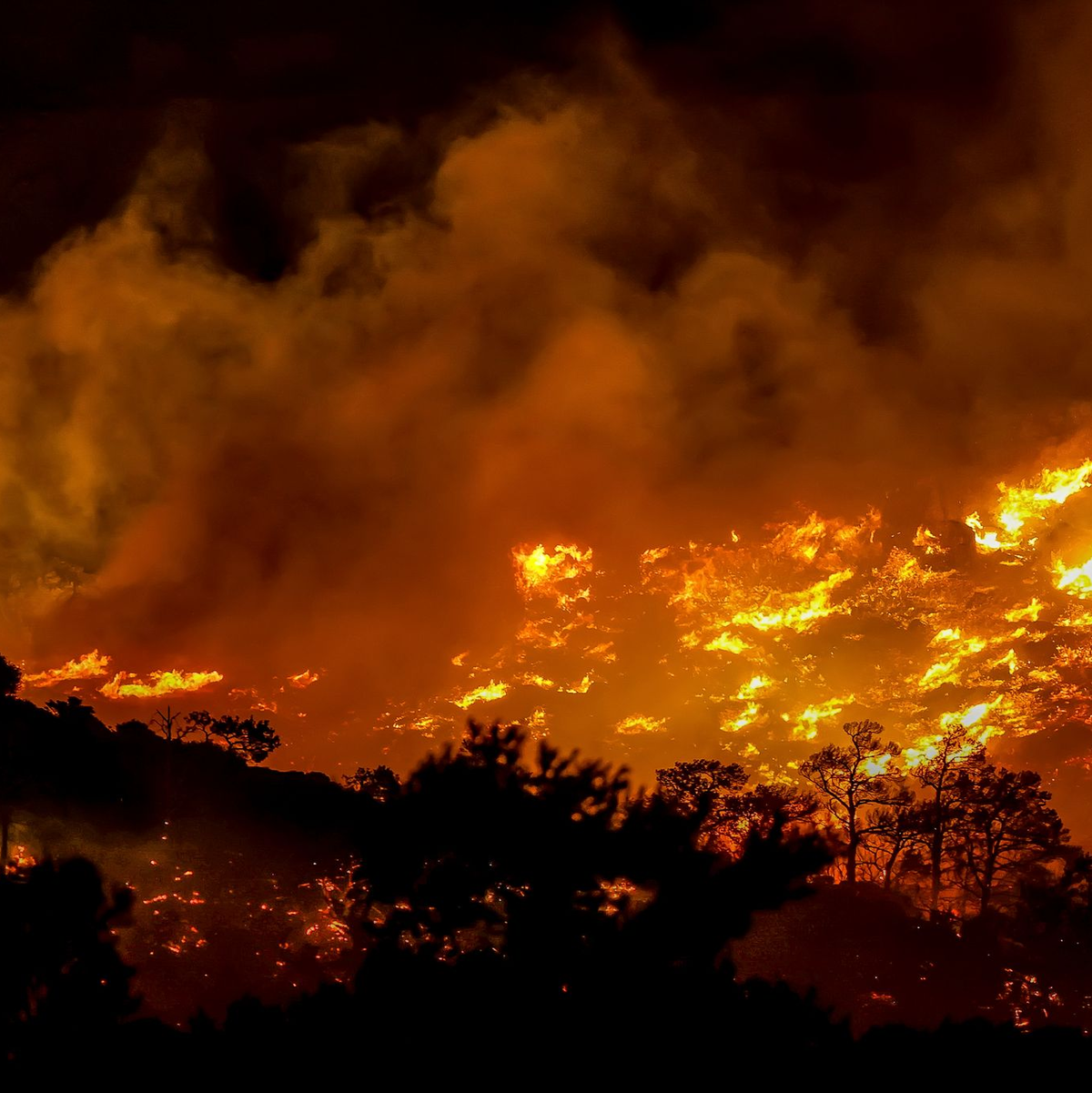 Laut griechischem Rundfunk ERTnews wurden auf Kreta rund 5.000 Touristen und Einheimische in Sicherheit gebracht. - Foto: STR/INTIME NEWS/AP/dpa