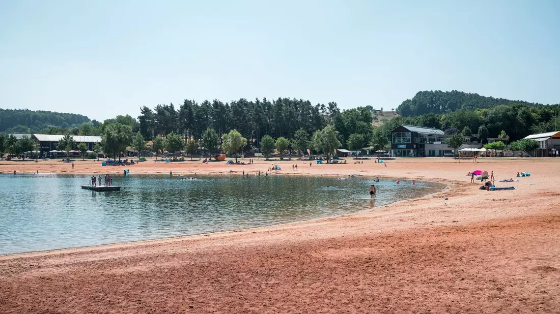 Erneut greift ein Wels einen Schwimmer in der Region an. (Symbolbild) - Bild: Daniel Vogl/dpa