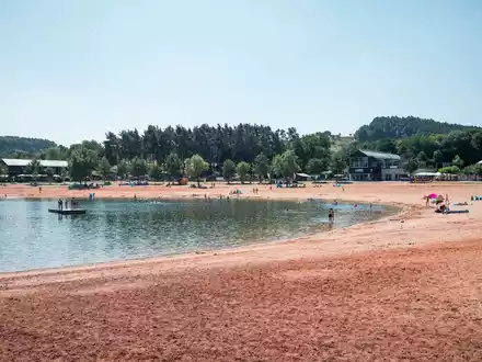 Erneut greift ein Wels einen Schwimmer in der Region an. (Symbolbild) - Foto: Daniel Vogl/dpa