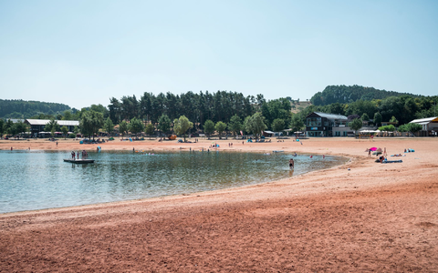 Erneut greift ein Wels einen Schwimmer in der Region an. (Symbolbild) - Foto: Daniel Vogl/dpa