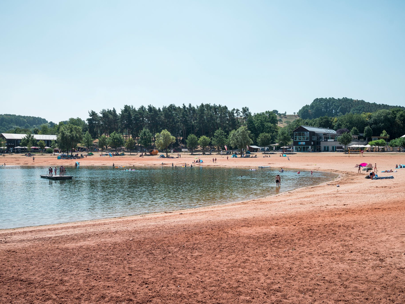 Erneut greift ein Wels einen Schwimmer in der Region an. (Symbolbild) - Foto: Daniel Vogl/dpa