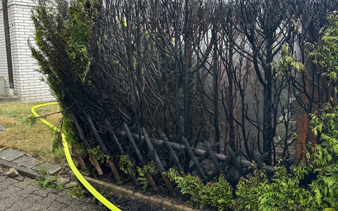FW-EN: Brand einer Hecke löst Feuerwehreinsatz aus - Foto: presseportal.de