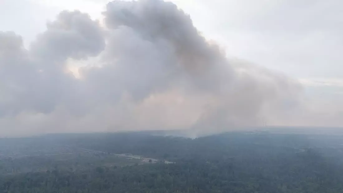 Wegen des Waldbrands in der Gohrischheide wurde Katastrophenalarm ausgelöst. - Bild: Sebastian Kahnert/dpa