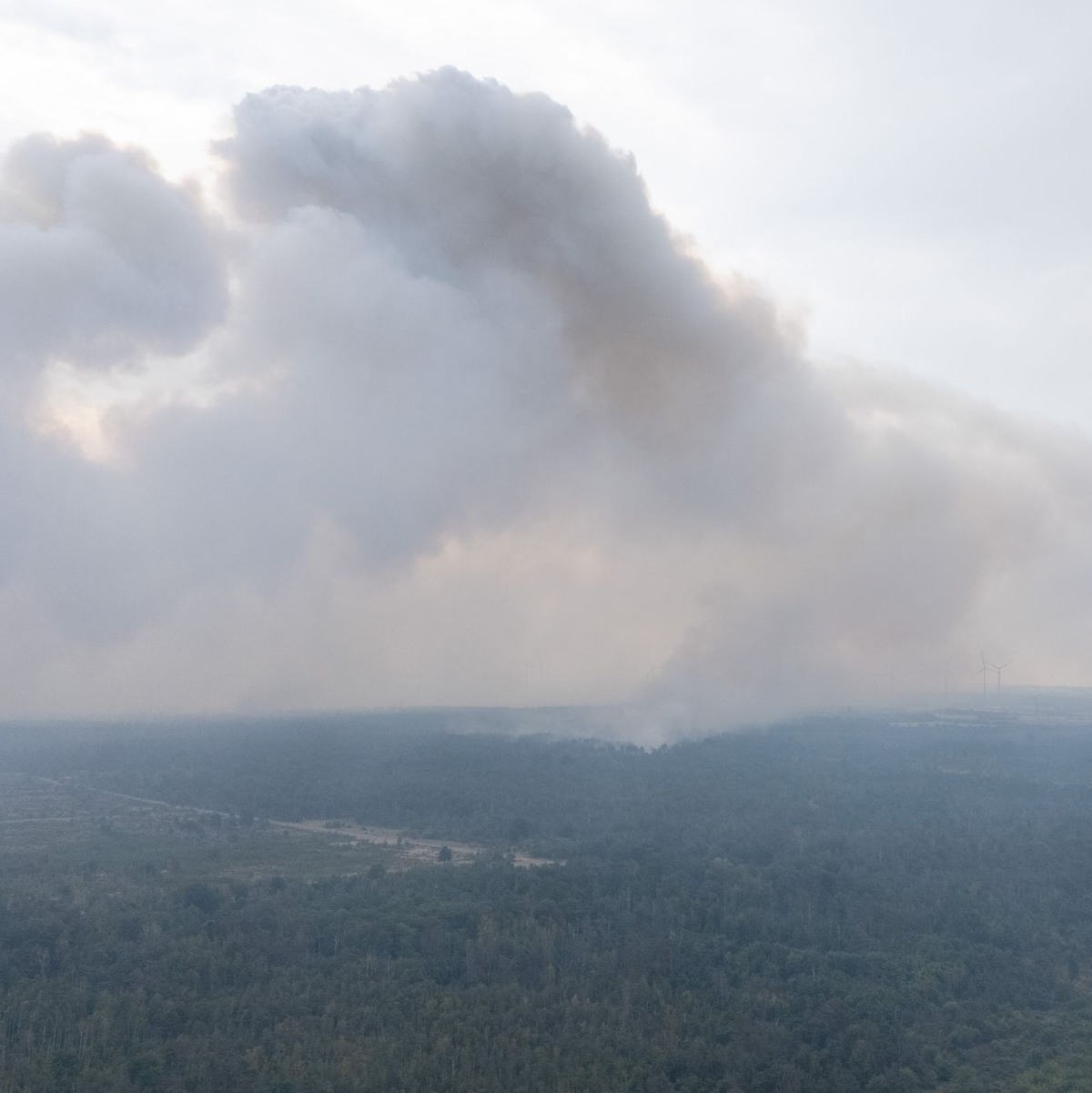 Wegen des Waldbrands in der Gohrischheide wurde Katastrophenalarm ausgelöst. - Foto: Sebastian Kahnert/dpa