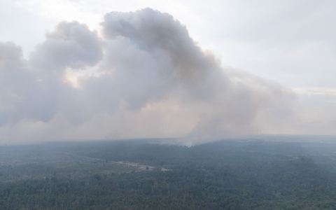 Auch ein Löschhubschrauber soll bei Tageslicht unterstützen, hieß es. - Foto: Sebastian Kahnert/dpa