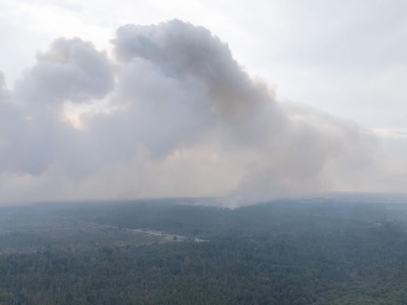 Wegen des Waldbrands in der Gohrischheide wurde Katastrophenalarm ausgelöst. - Foto: Sebastian Kahnert/dpa