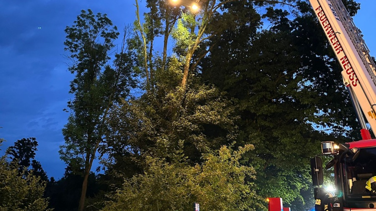 FW-NE: Zwei Unwettereinsätze in Neuss | Unwetter verschont Stadtgebiet weitgehend - Foto: presseportal.de